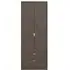 Diego 2 Door 2 Drawer Tall Wardrobe - Copper and Gold