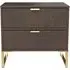 Diego 2 Drawer Bedside Cabinet - Copper Gold
