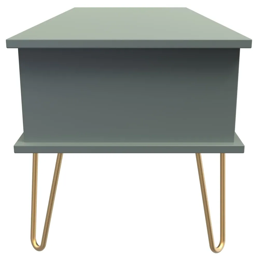 Linear 1 Drawer Coffee Table with Hairpin Legs - Reed Green