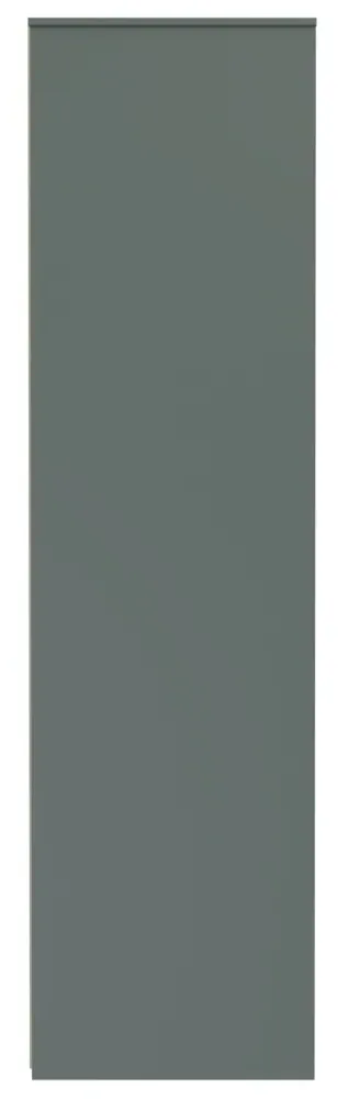 Linear 2 Door 2 Drawer Tall Wardrobe - Reed Green