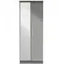 Paris 2 Door Tall Wardrobe with Mirror - Grey