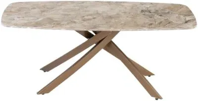 Fendi Coffee Table - Brown Marble image