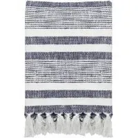 Neela Striped Throw with Fringe - Natural, Navy