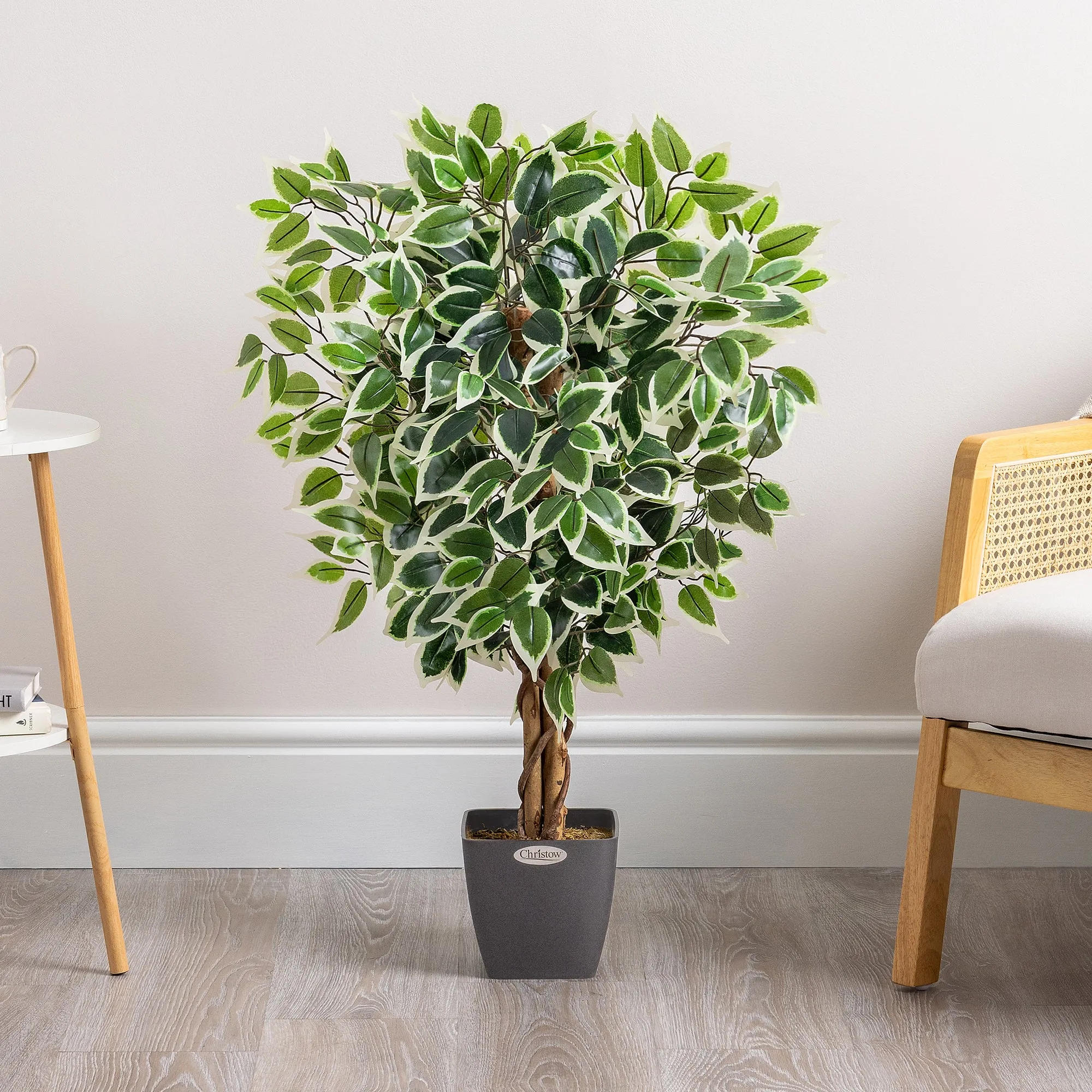 Artificial Variegated Ficus Tree - Green, White product