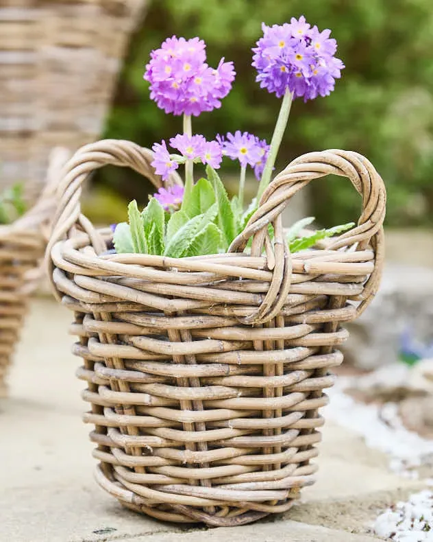 Lined Wicker Planter Baskets with Handles by Dibor, image 2