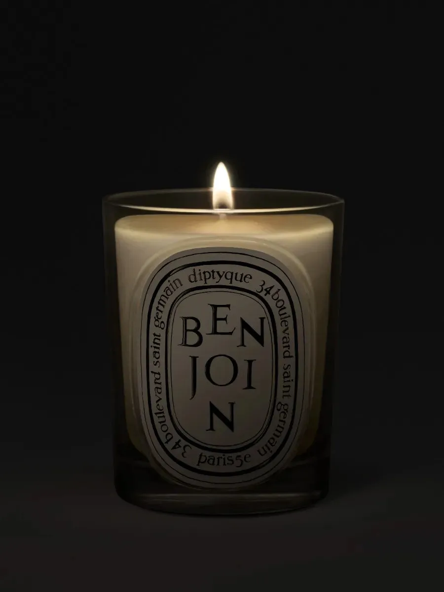Benjoin Scented Candle alternate view