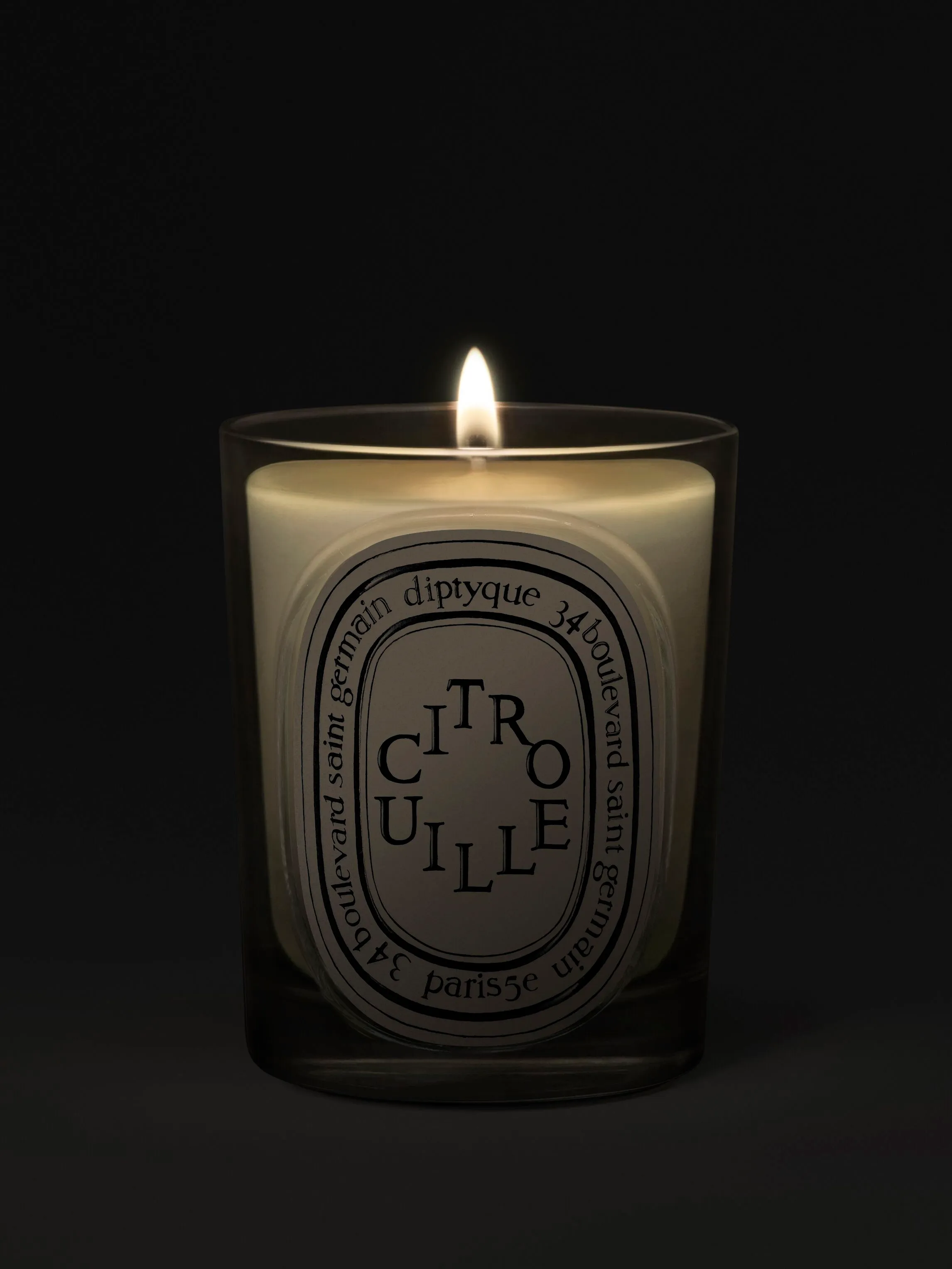 Citrouille Pumpkin Classic Candle by Diptyque, alternate view