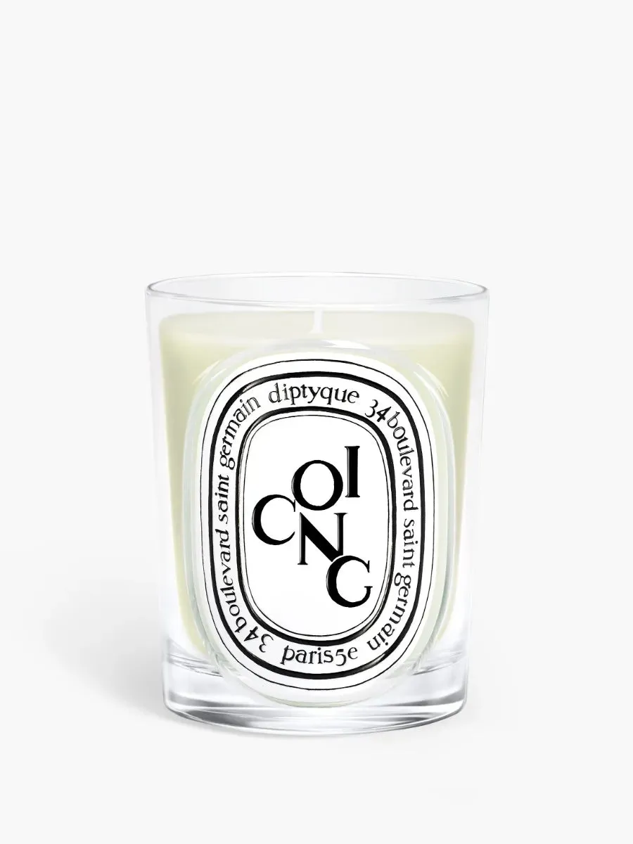 Diptyque Paris Coing Quince Classic Candle product
