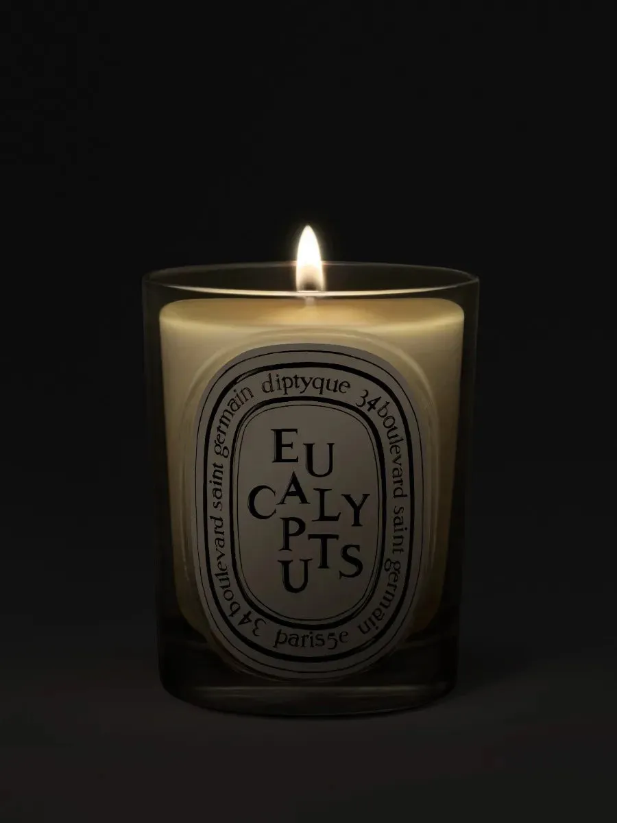 Eucalyptus Classic Candle alternate view