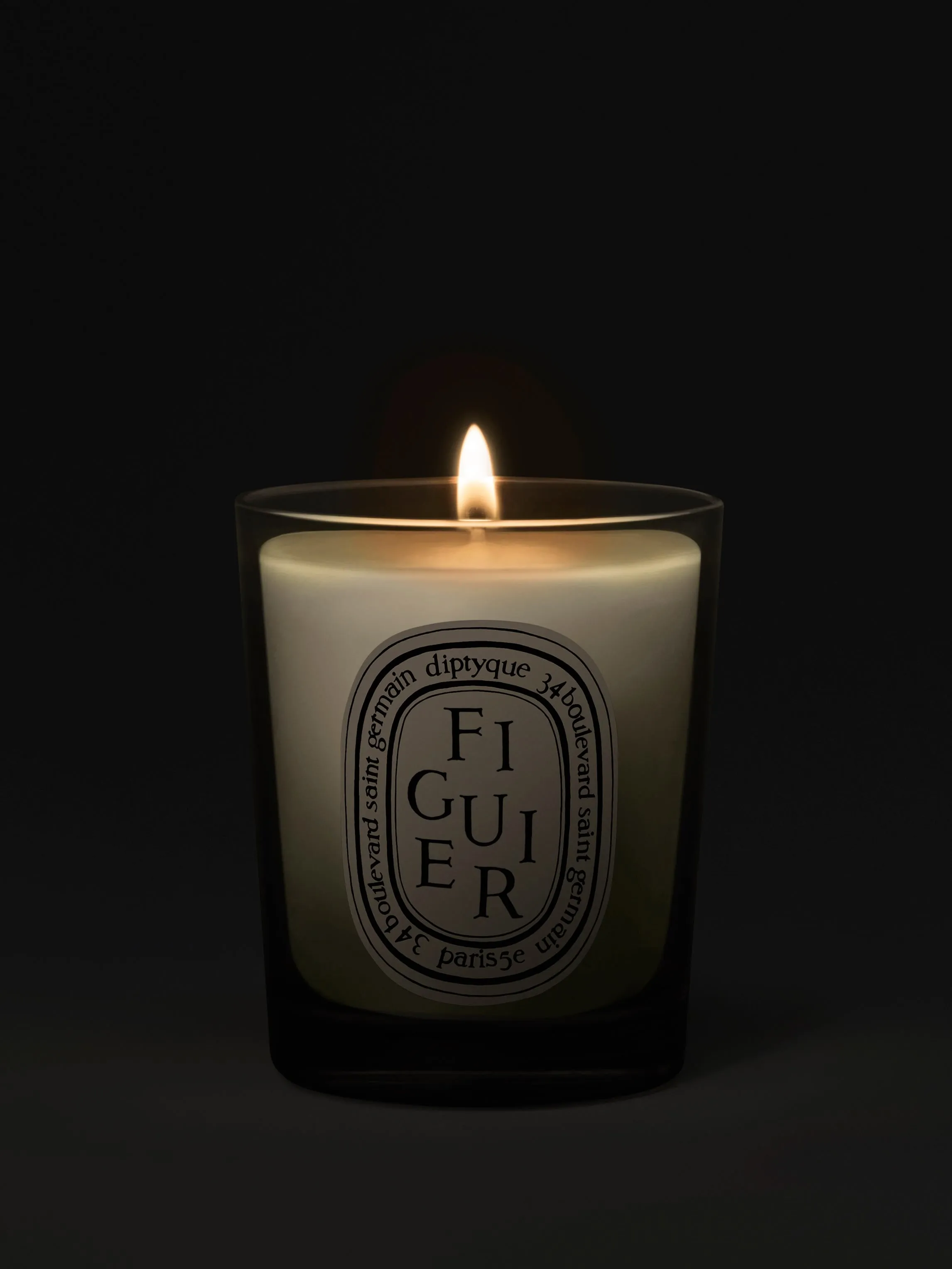 Figuier Fig Tree Small Candle alternate view