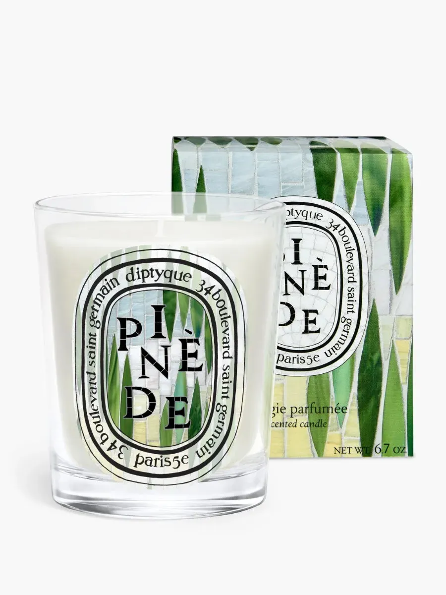 Pinède Pine Grove Classic Candle product