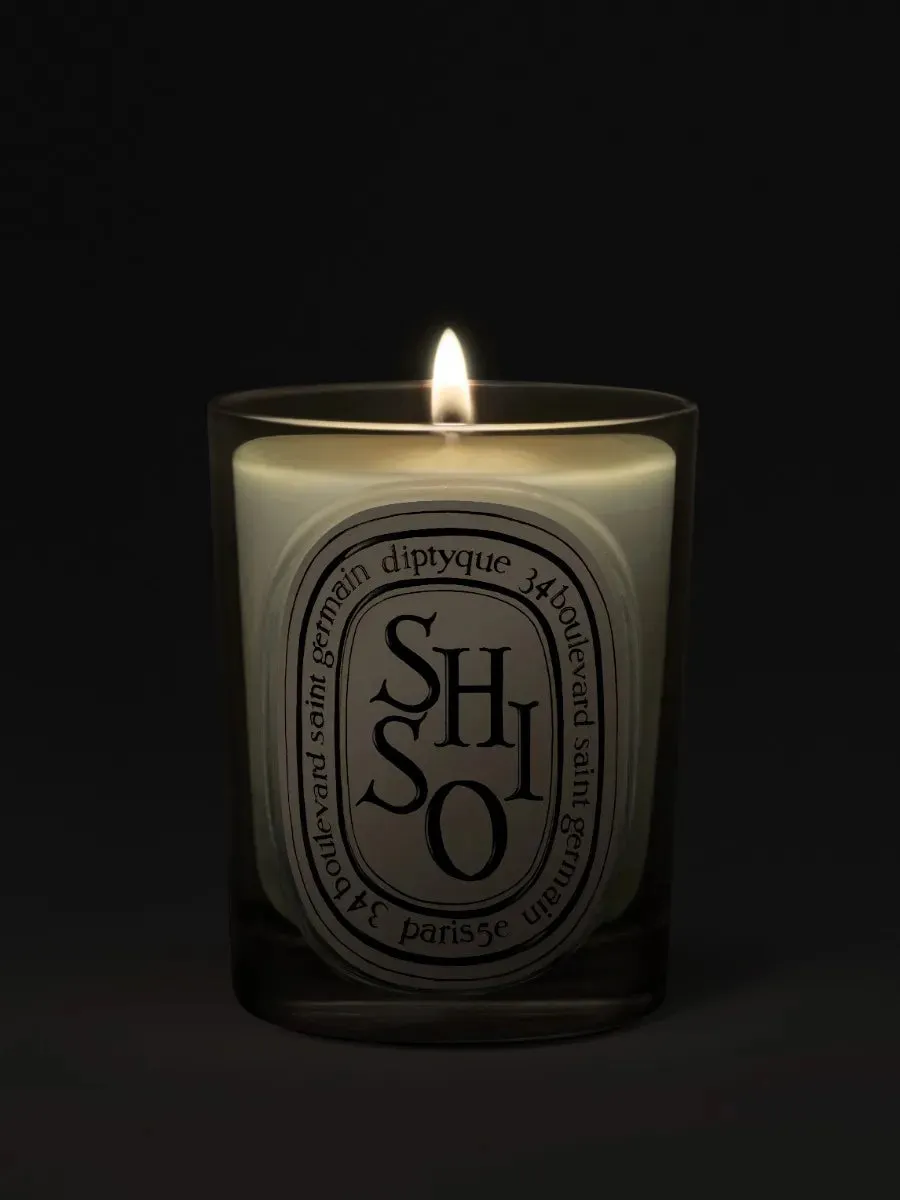 Shiso Candle alternate view