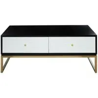 Luxe Rectangular Coffee Table with Storage - Monochrome