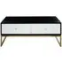 Luxe Rectangular Coffee Table with Storage - Monochrome