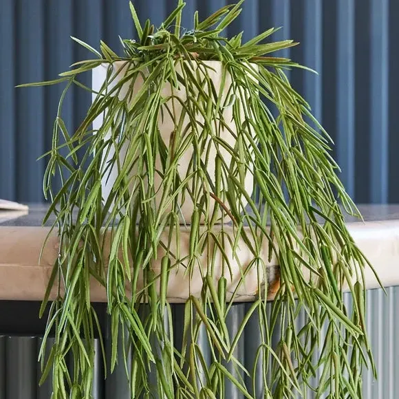 Hanging Hoya Linearis Plant - Green, Artificial alternate view