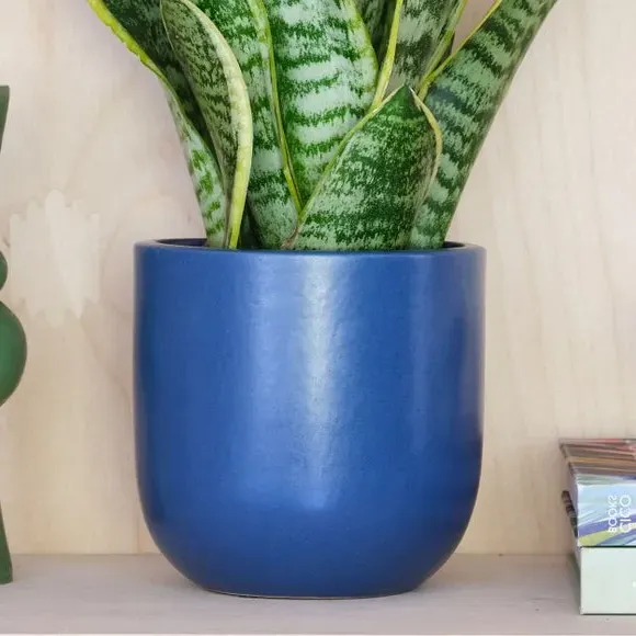 Plant Pot with Glazed Finish - Blue, Ceramic alternate view