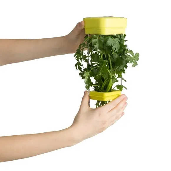 Herbfresh Fresh Herb Storage - Green alternate view