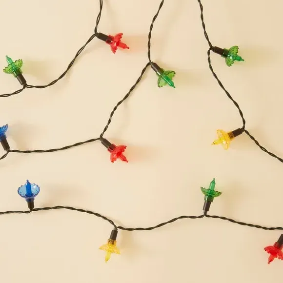 20 LED Flower String Lights - Multicolor by Dunelm, image 4