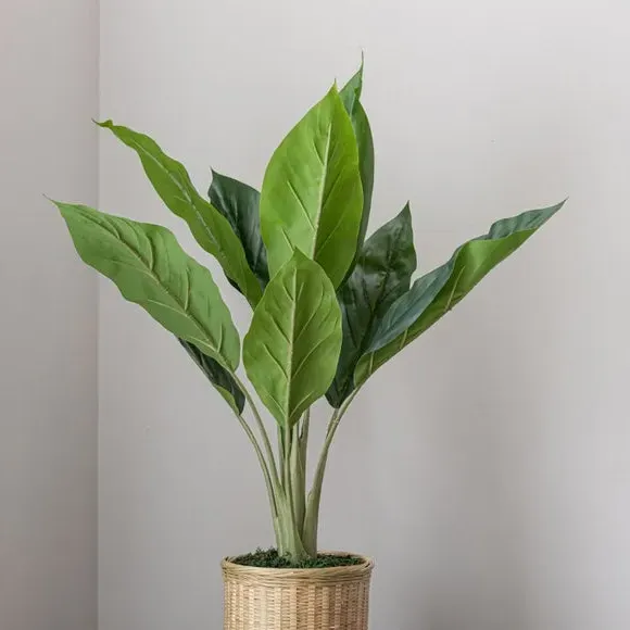 Artificial Banana Plant - Natural, Bamboo Pot alternate view