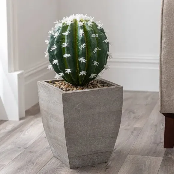 Artificial Cactus Plant - Green, Wood Pot alternate view