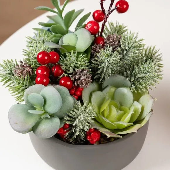 Artificial Christmas Succulent - Green, Cement alternate view