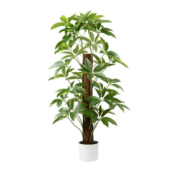 Climbing Umbrella Plant - Green, Artificial by Dunelm, image 3