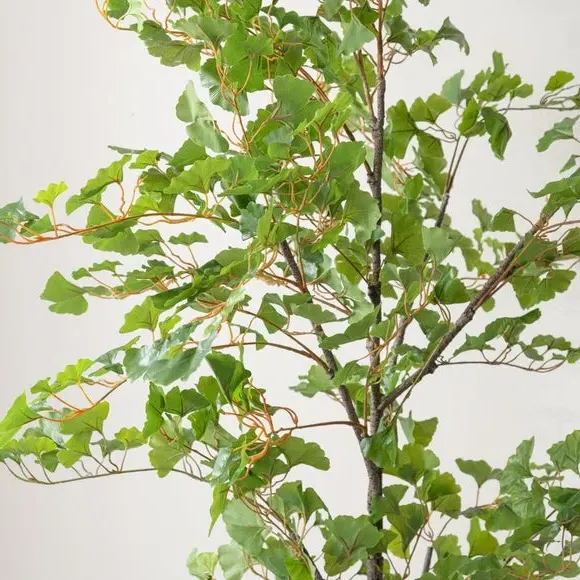 Artificial Ginkgo Tree - Green, Black Pot alternate view