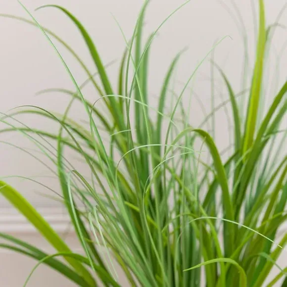 Artificial Grass Plant - Green, Plastic alternate view