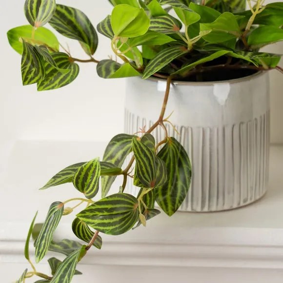 Trailing Plant Artificial - Green, Plastic alternate view
