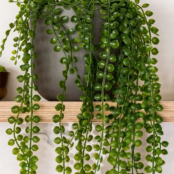 Artificial Hanging Ficus Plant - Green alternate view