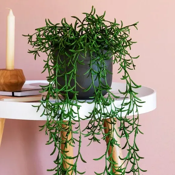 Hanging String of Dolphins Plant - Green, Artificial alternate view