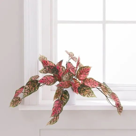 Artificial Hypoestes Plant - Pink, Plastic Pot alternate view