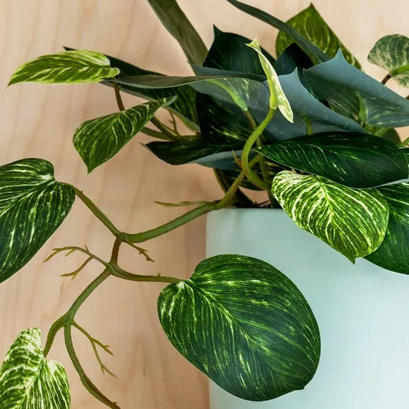 Artificial Pothos Plant - Green alternate view
