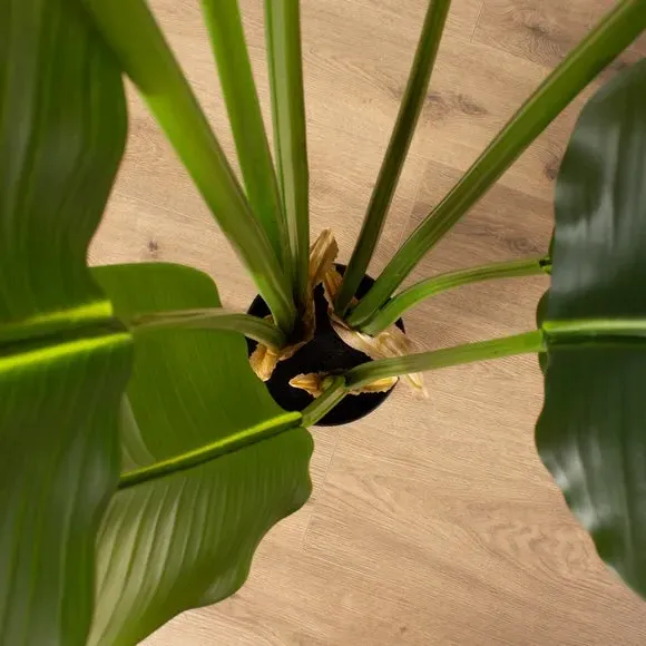 Artificial Banana Tree - Green, Plastic alternate view
