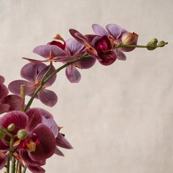 Artificial Orchid Plant - Pink, Ceramic Pot alternate view