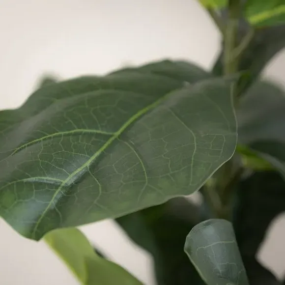 Artificial Fiddleleaf Fig Plant - Green, Faux alternate view