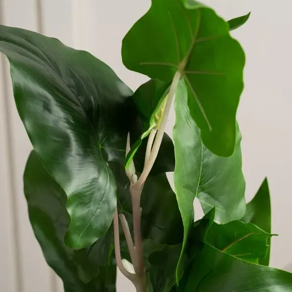 Artificial Typhonium Plant - Green, Plastic alternate view