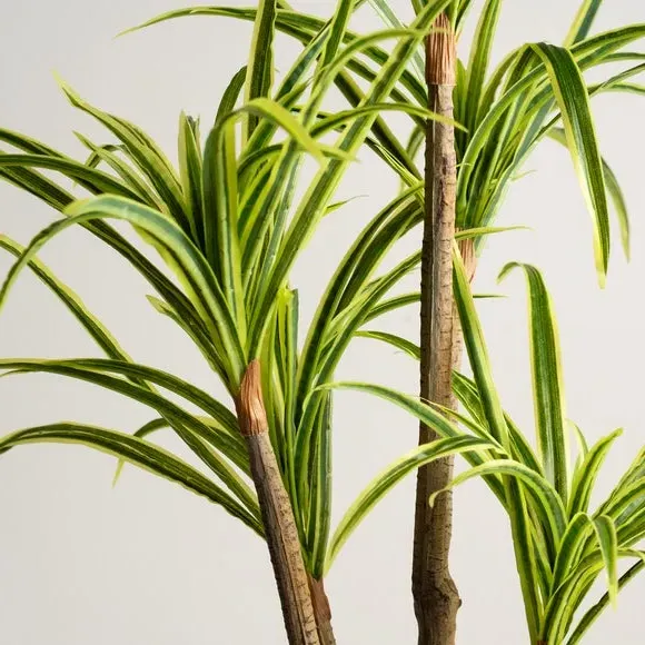 Artificial Yucca Tree - Green, Real Touch alternate view