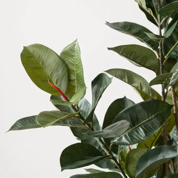 Artificial Rubber Tree in Pot - Green alternate view