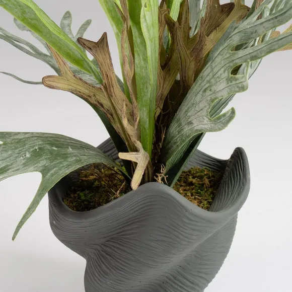 Artificial Plant in Shell Pot - Green, Cement alternate view