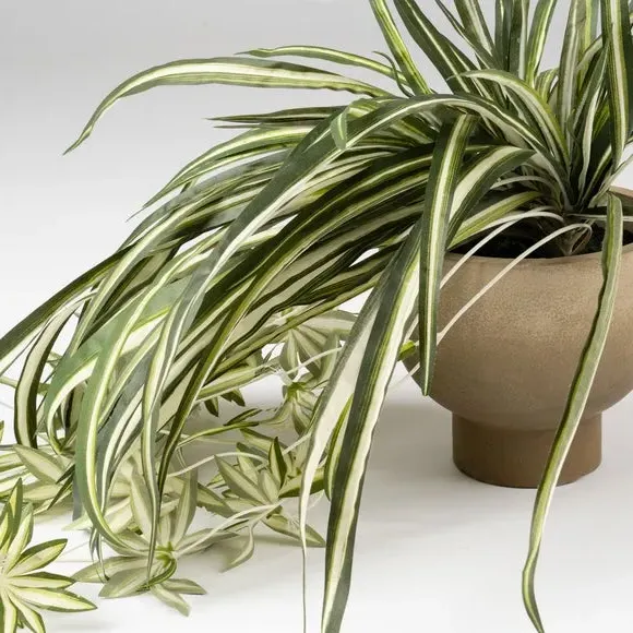 Artificial Spider Plant - Green, Rustic Pot alternate view