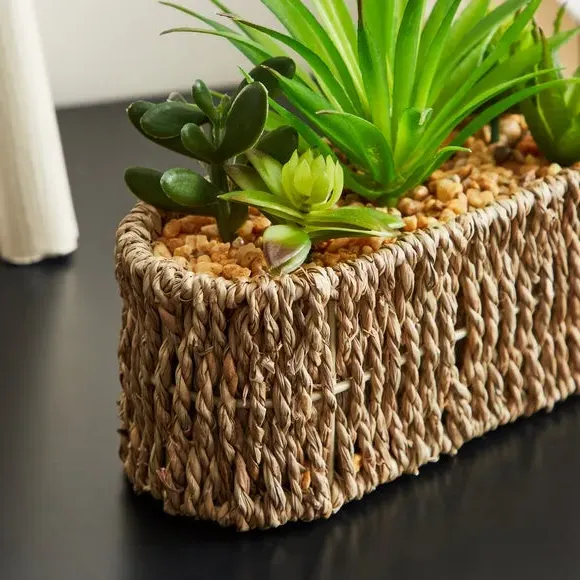 Artificial Succulent in Woven Pot - Multicolor alternate view