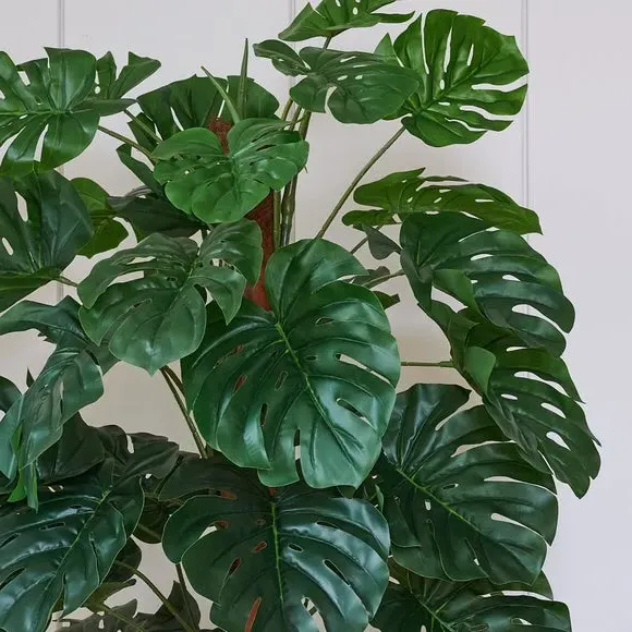 Artificial Swiss Cheese Plant on Moss Pole - Green alternate view