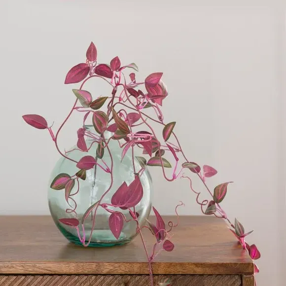 Artificial Tradescantia Vine Stem - Purple alternate view
