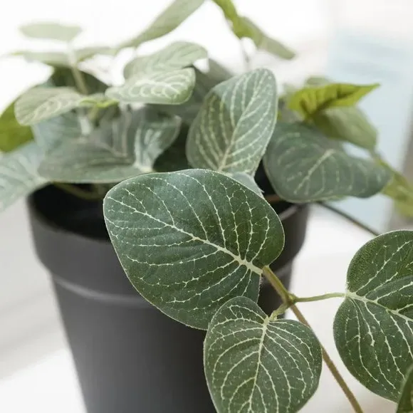 Trailing Artificial Plant - Green, Plastic Pot alternate view