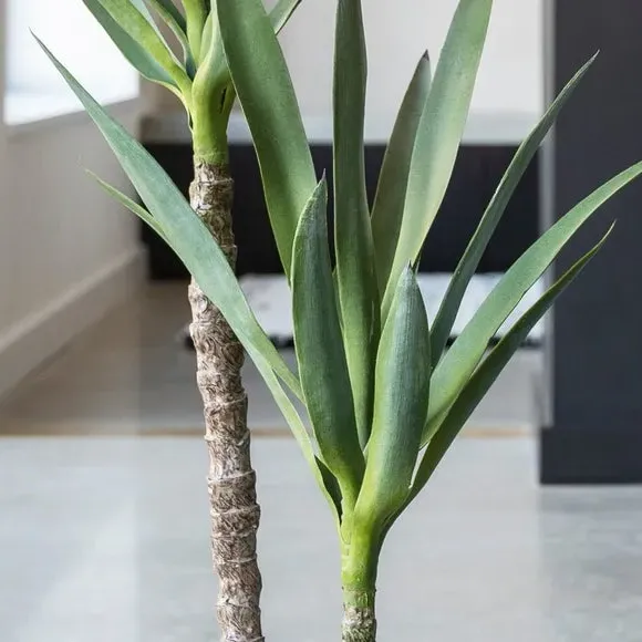 Artificial Yucca Plant - Green alternate view