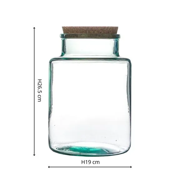 Bottle Shape Terrarium DIY Kit - Clear, Glass alternate view