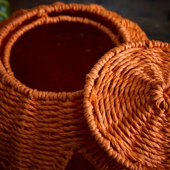 Pumpkin Storage Basket with Lid - Orange, Paper Rope alternate view