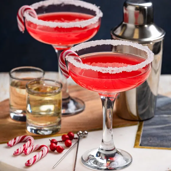 Martini Cocktail Set with Shaker - Clear Glass alternate view