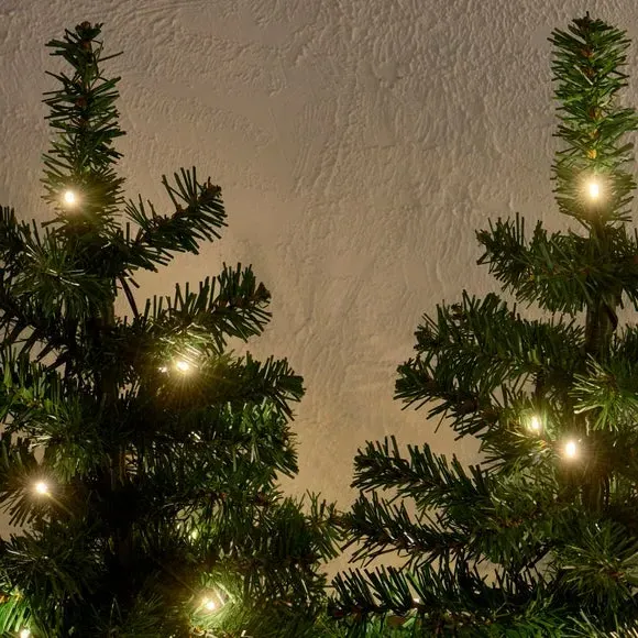 Set of 4 Tree Path Lights - Warm White LED alternate view
